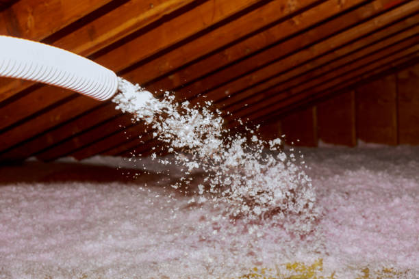 Best Blown-in Insulation in Lakeland, GA