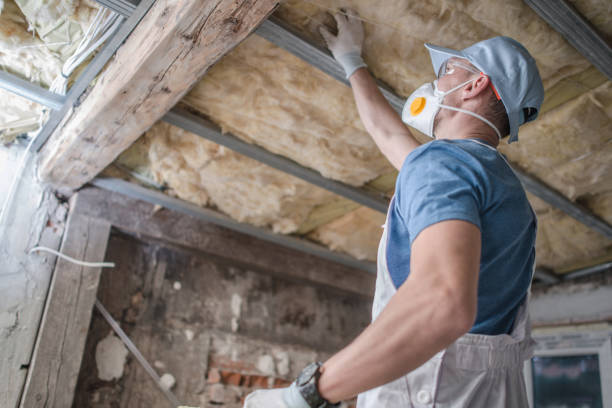Types of Insulation We Offer in Lakeland, GA
